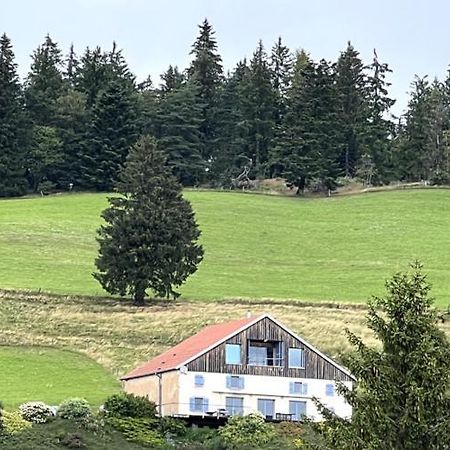Maison D'Hotes Des Hauts De La Piquante Pierre Basse-sur-le-Rupt Exterior foto
